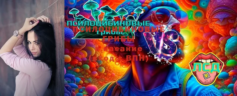 OMG ССЫЛКА  Сусуман  нарко площадка телеграм  Псилоцибиновые грибы мухоморы 